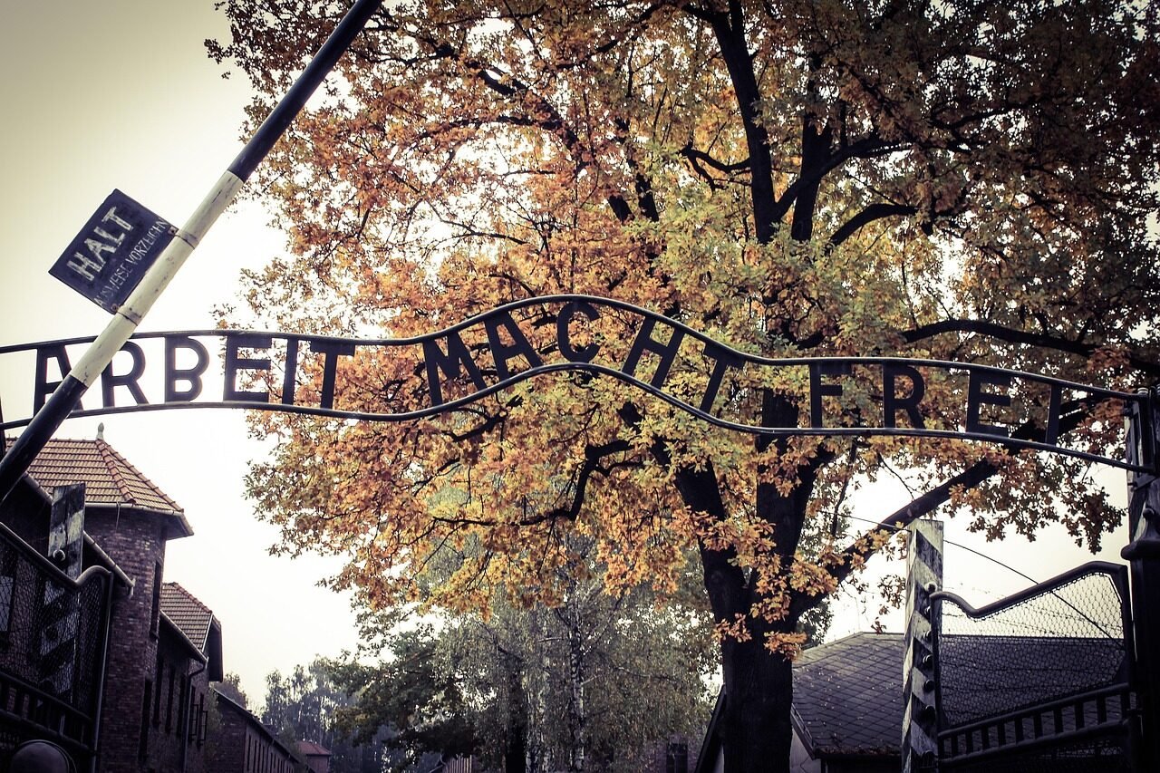 auschwitz, gate, signboard, writing, extermination camp, concentration camp, labor camp, the museum, monument, autumn, tree, leaves, nature