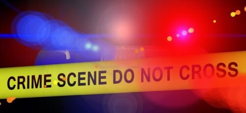 police, crime scene, blue light, detection, criminal case, crime, did, capital crime, examination, sense
